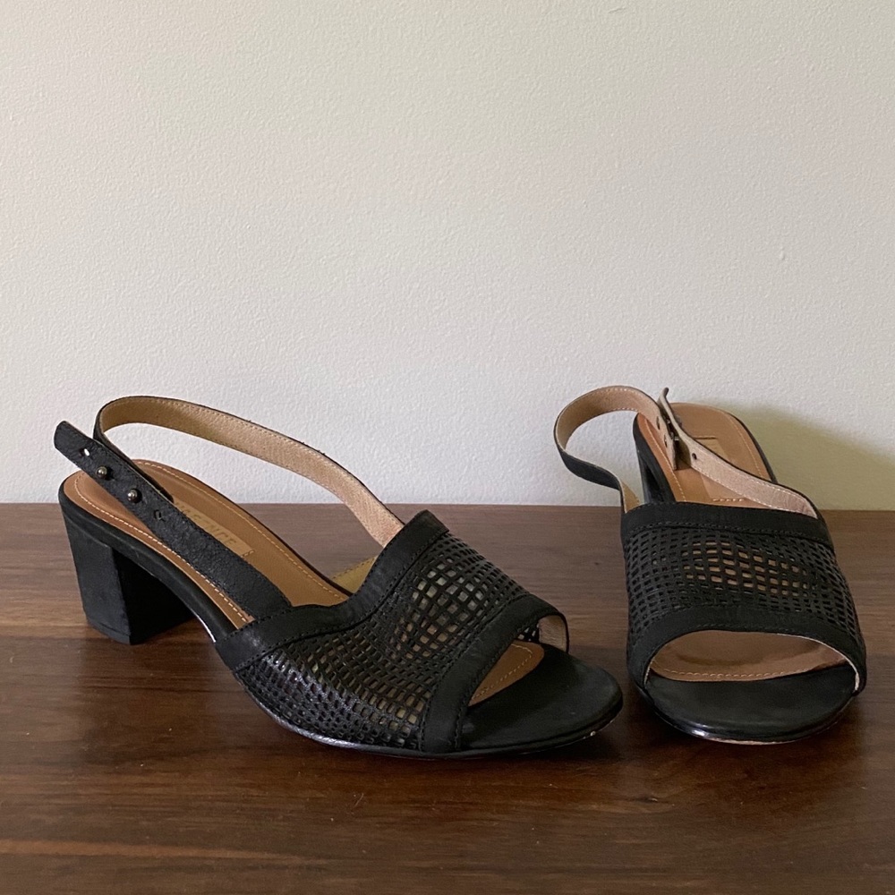 L’Agence mules